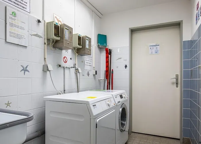 Treibholz Im Wikingerhof