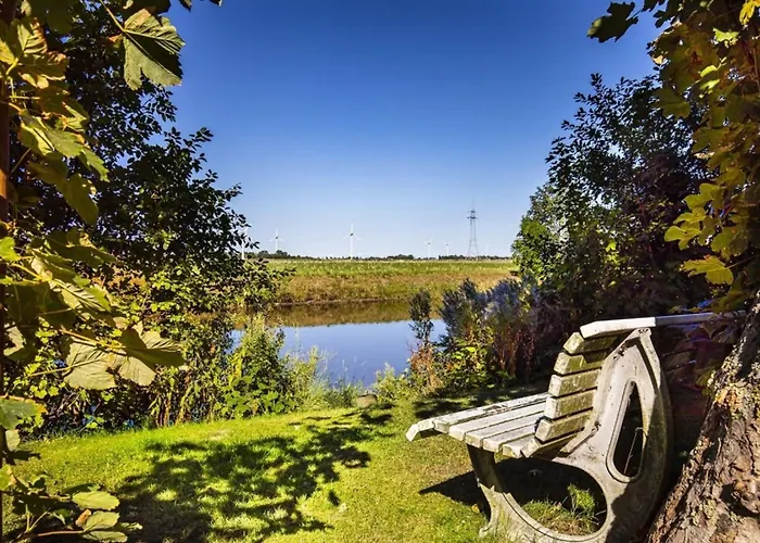 Treibholz Im Wikingerhof *